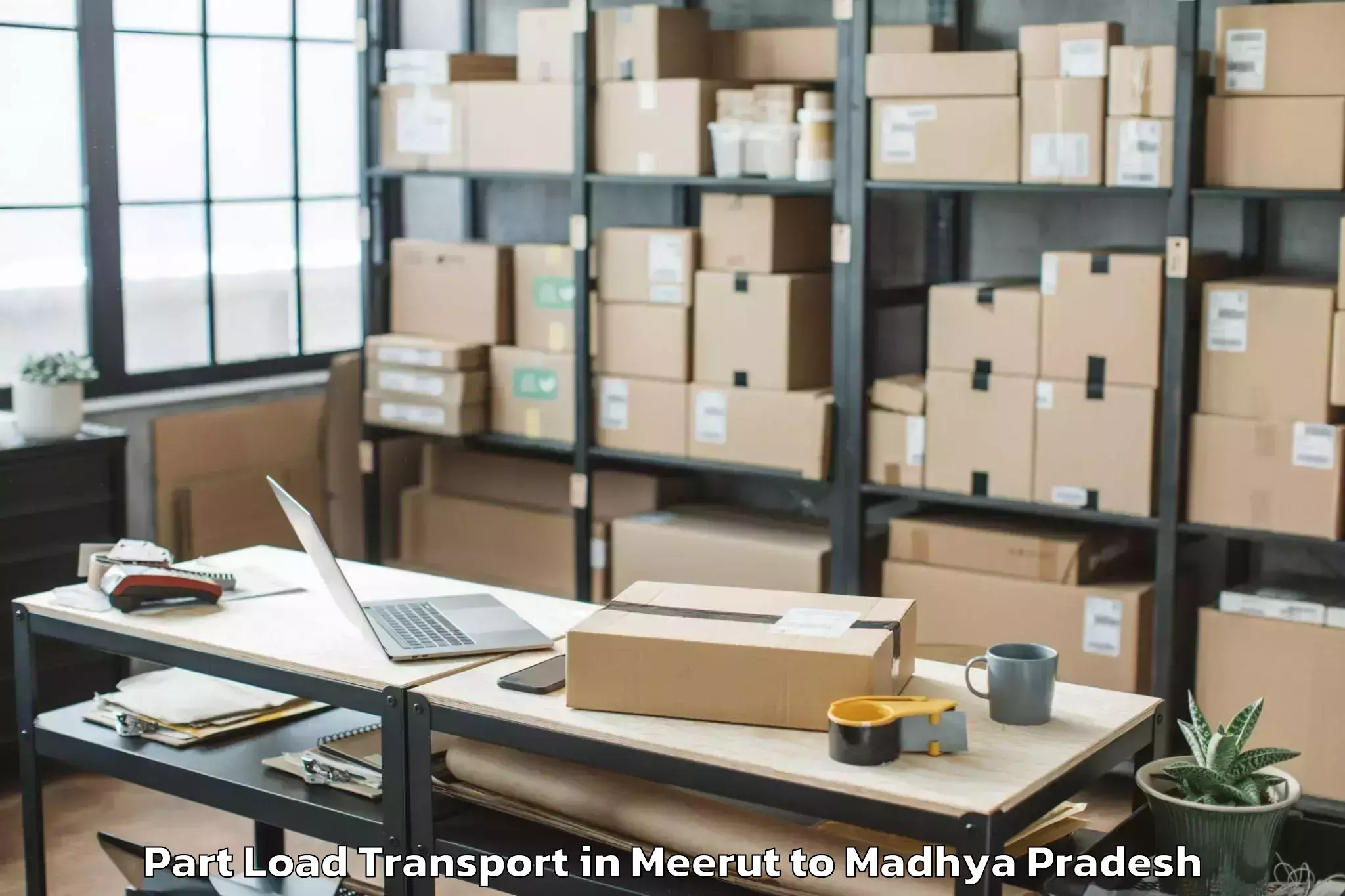 Book Your Meerut to Pdpm Indian Institute Of Infor Part Load Transport Today